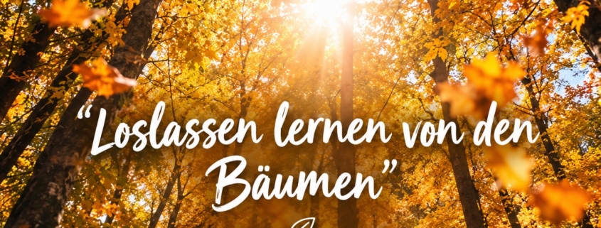 Loslassen lernen, von den Bäumen