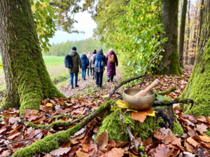 beim Waldbaden